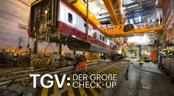 TGV: Der große Check-up