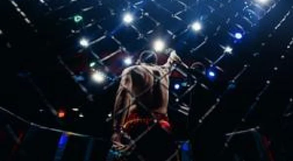 MMA : Countdown UFC