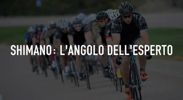 Shimano: L'angolo dell'esperto