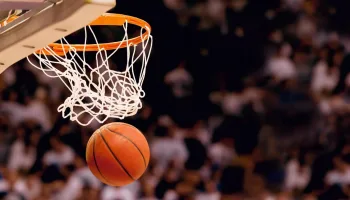 Basquetebol: Liga Feminina