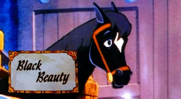 Black Beauty
