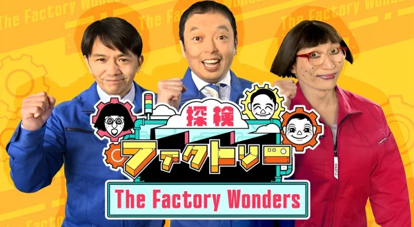 The Factory Wonders