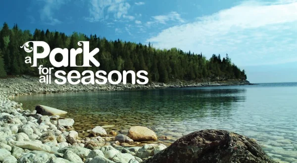 A Park for All Seasons