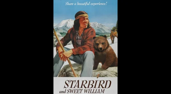 Starbird and Sweet William