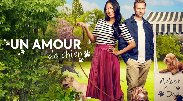 Un amour de chien