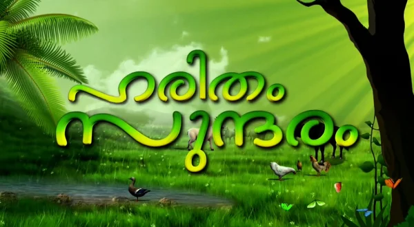 Haritham Sundaram