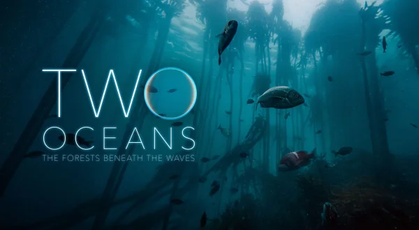 Δύο Ωκεανοί | Two Oceans