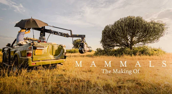 Mammals: Making Of