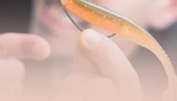 Les minutes pêche