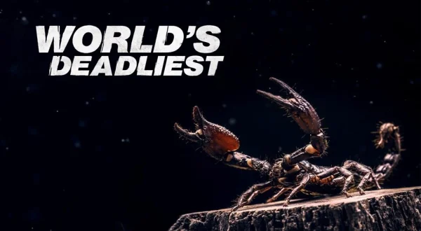 World's Deadliest