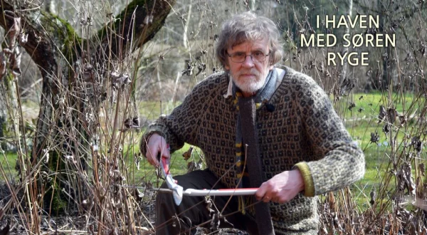 I haven med Søren Ryge