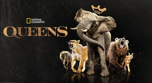 Queens