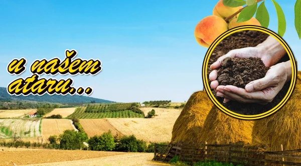 U našem ataru
