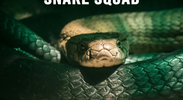 Snake Squad