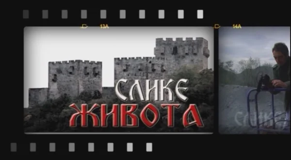 Slike života