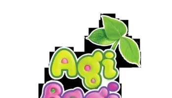 Agi Bagi