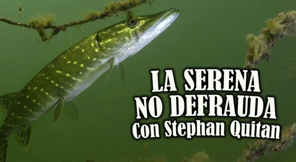 La Serena no defrauda con Stephan Quiton