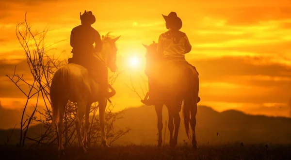 The Light of Western Stars