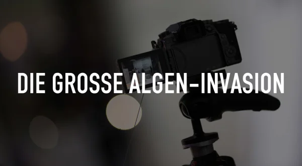 Die große Algen-Invasion