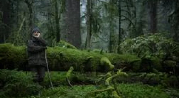 Le Chant des forêts