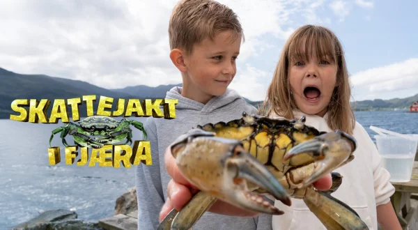 Skattejakt i fjæra