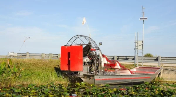 Die Pythonjäger – Einsatz in den Everglades