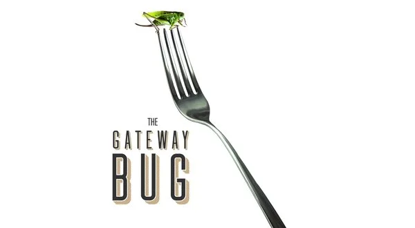 The Gateway Bug