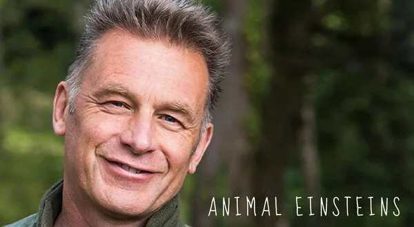 Animal Einsteins