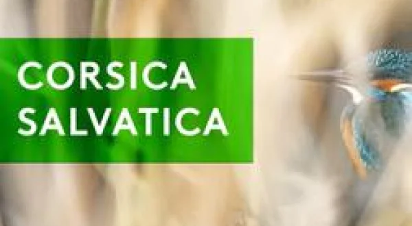 Corsica Salvatica