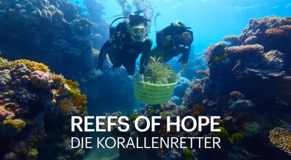 Reefs of Hope - Die Korallenretter