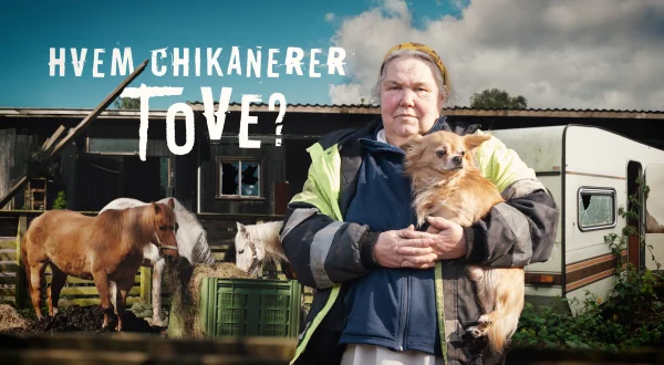 Hvem sjikanerer Tove?