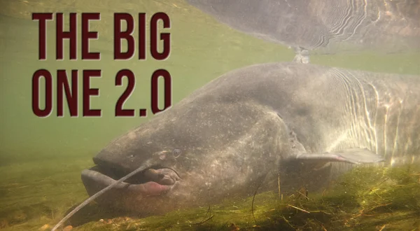 En busca del Big One 2.0