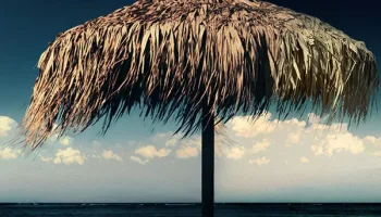 Omicidi in Paradiso: Morte ai Caraibi