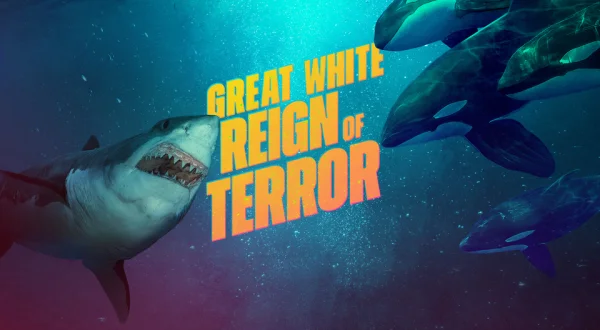 Great White Reign of Terror