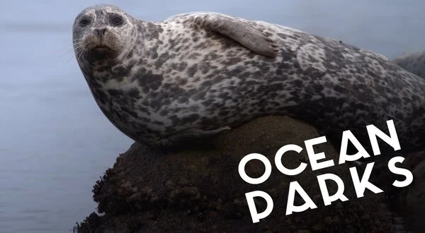 Ocean Parks