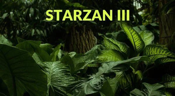 Starzan III