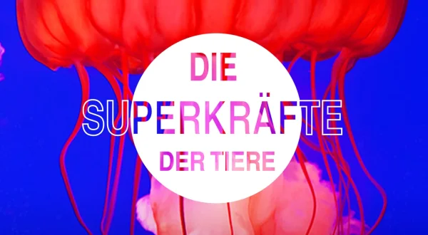 Die Superkräfte der Tiere
