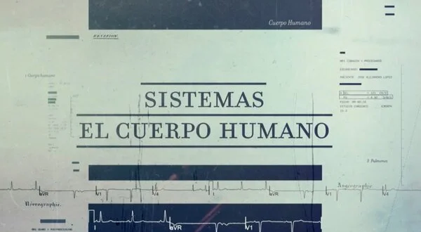 Sistemas: Cuerpo humano