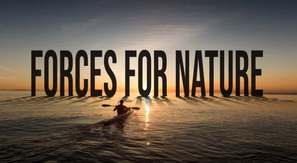 Forces for Nature