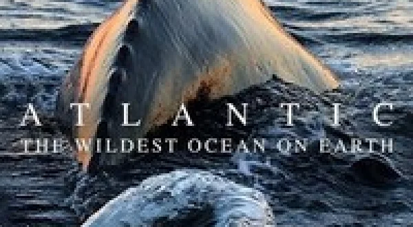 Atlantic: The Wildest Ocean on Earth