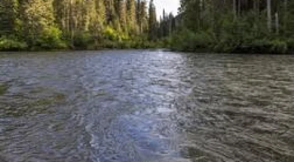 A la poursuite de la Dolly Varden : Légendes des eaux Boreal