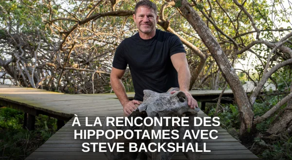 À la rencontre des hippopotames avec Steve Backshall