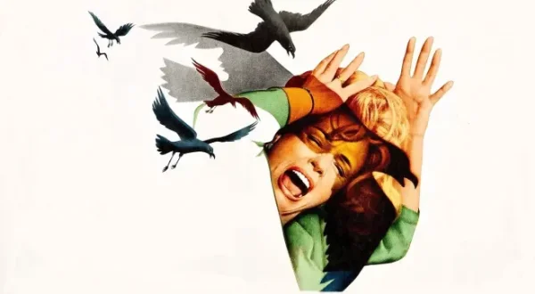 Die Vögel