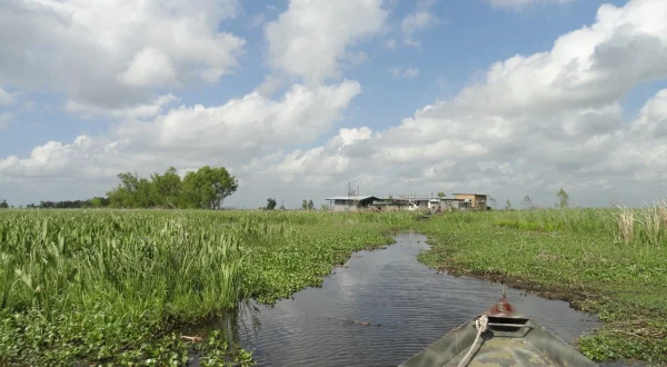 Der Mississippi – Amerikas Lebensader