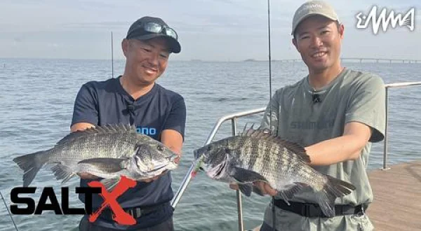 SALT X 43 東京湾クロダイトップウォーター