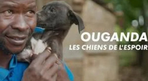 Ouganda, les chiens de l'espoir