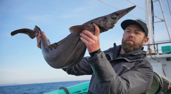Alien Sharks – Die Geister von Japan