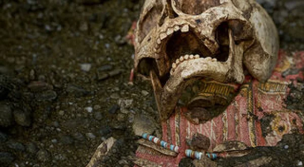 Prove Sepolte Le Avventure Dell'archeologia