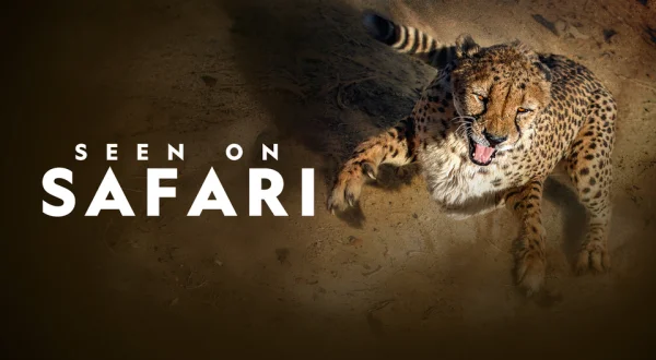 Seen on Safari