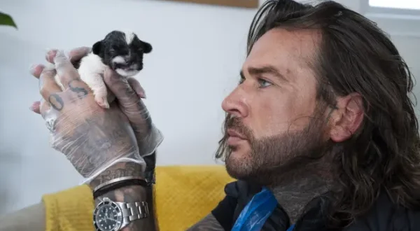 Pete Wicks : chiens sauvés, vies changées